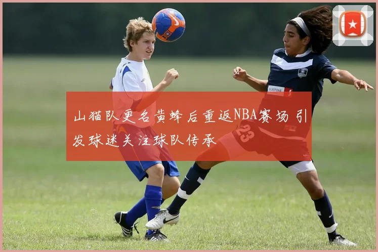 山猫队更名黄蜂后重返NBA赛场 引发球迷关注球队传承