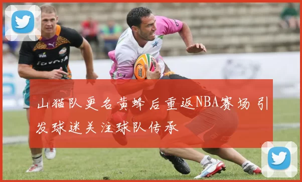 山猫队更名黄蜂后重返NBA赛场 引发球迷关注球队传承