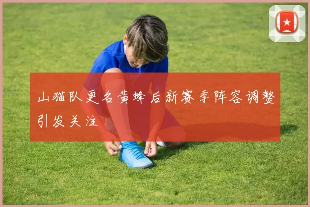 山猫队更名黄蜂后新赛季阵容调整引发关注