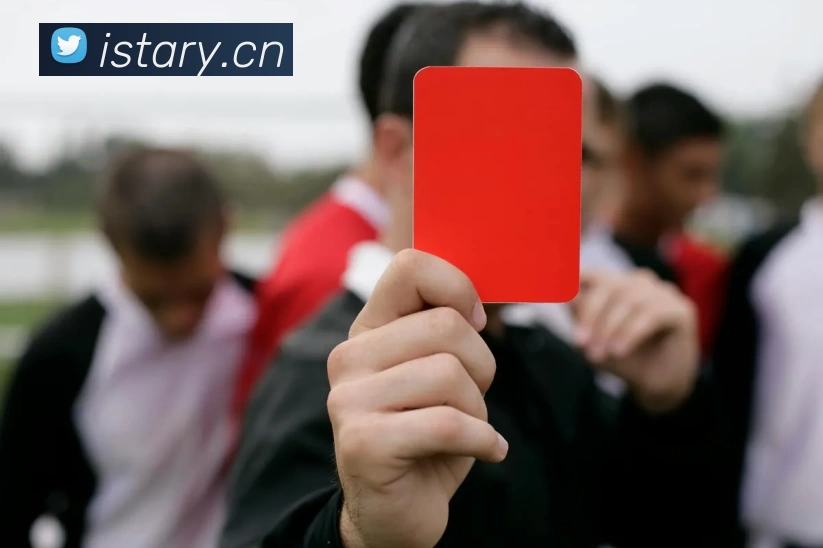 Z6·尊龙凯时「中国」官方网站平台生态图